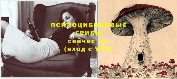 дурь Алзамай