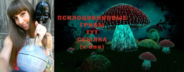 дурь Алзамай