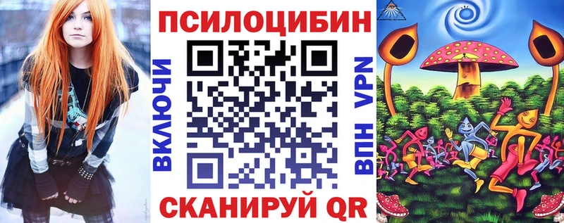 дарк нет состав  Солигалич  Псилоцибиновые грибы GOLDEN TEACHER 